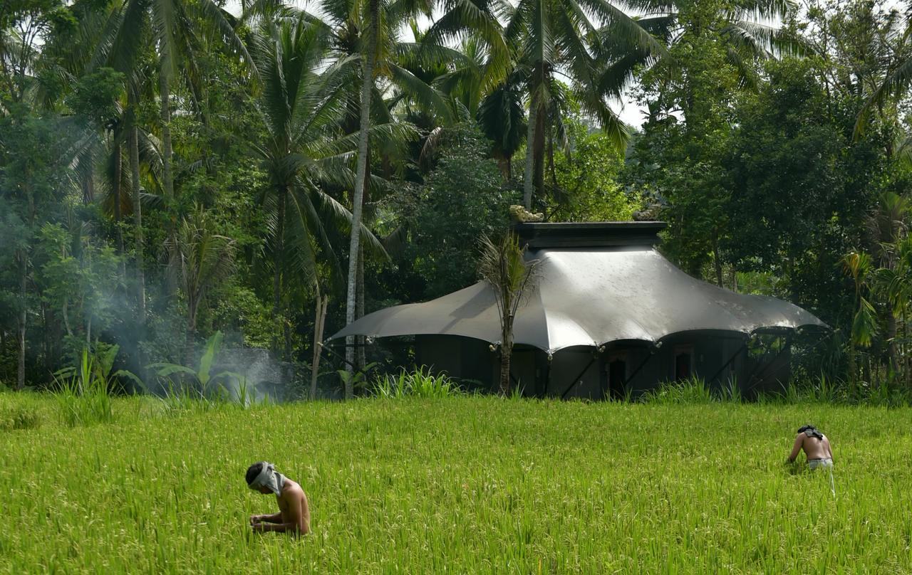 Capella Ubud, Bali Екстер'єр фото